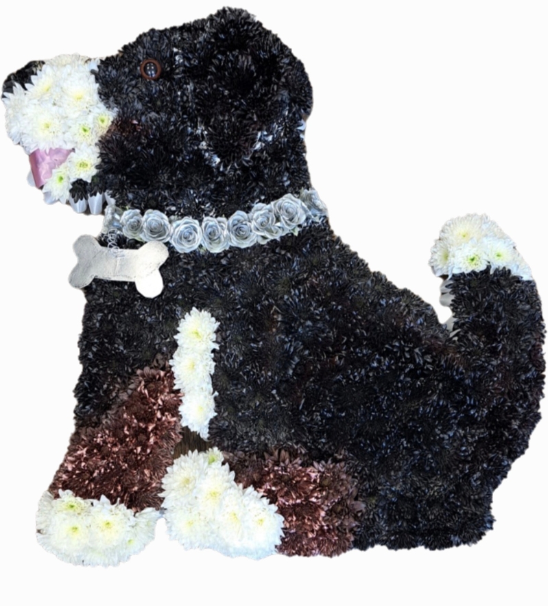 Bespoke work (animals)
